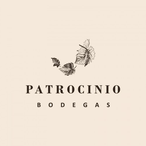 LOGOPATROCINIO_800X800